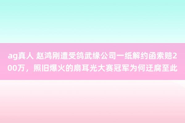 ag真人 赵鸿刚遭受鸽武缘公司一纸解约函索赔200万，照旧爆火的扇耳光大赛冠军为何迂腐至此