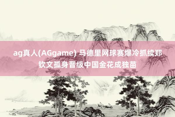 ag真人(AGgame) 马德里网球赛爆冷抓续郑钦文孤身晋级中国金花成独苗