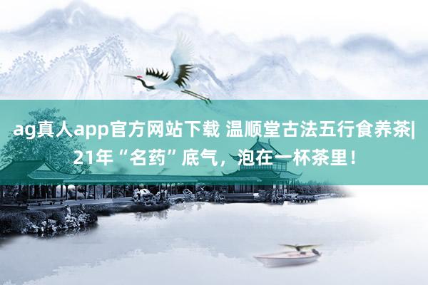 ag真人app官方网站下载 温顺堂古法五行食养茶|21年“名药”底气，泡在一杯茶里！