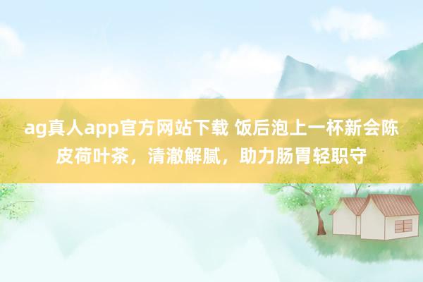 ag真人app官方网站下载 饭后泡上一杯新会陈皮荷叶茶，清澈解腻，助力肠胃轻职守