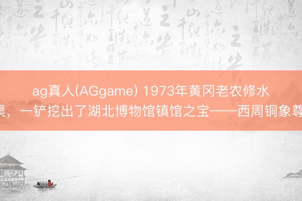 ag真人(AGgame) 1973年黄冈老农修水渠，一铲挖出了湖北博物馆镇馆之宝——西周铜象尊！