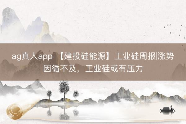 ag真人app 【建投硅能源】工业硅周报|涨势因循不及，工业硅或有压力
