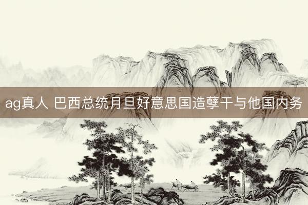 ag真人 巴西总统月旦好意思国造孽干与他国内务