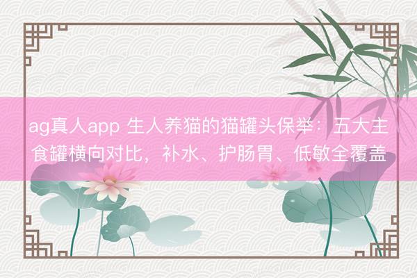 ag真人app 生人养猫的猫罐头保举：五大主食罐横向对比，补水、护肠胃、低敏全覆盖